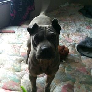 Meet your Posher, April